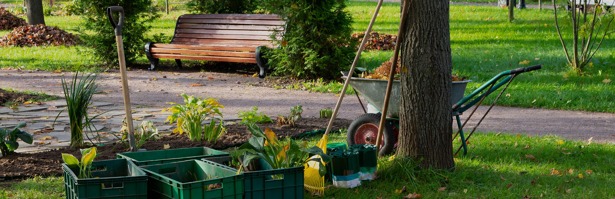 GARTENPFLEGE UND PROJEKTE.